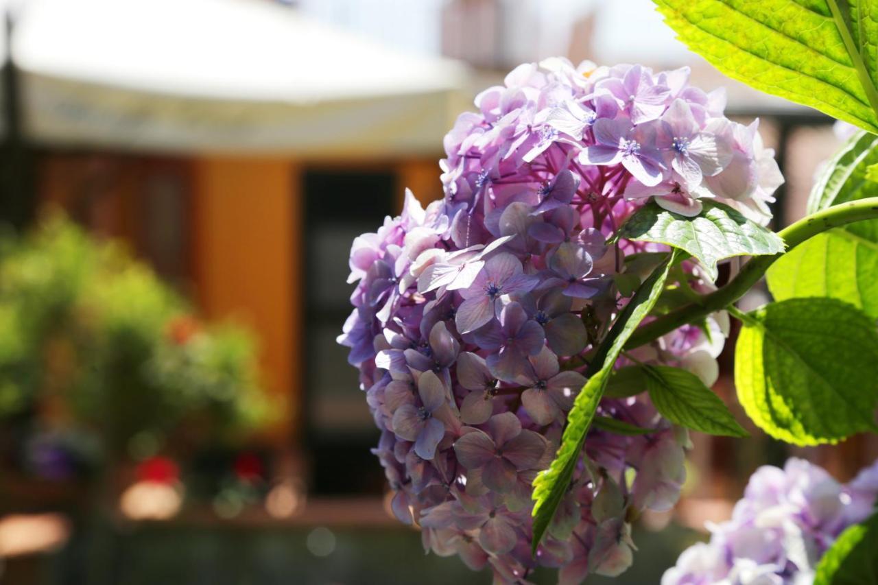 Casa Rosaria Amalfi Coast Bed & Breakfast Vietri Bagian luar foto