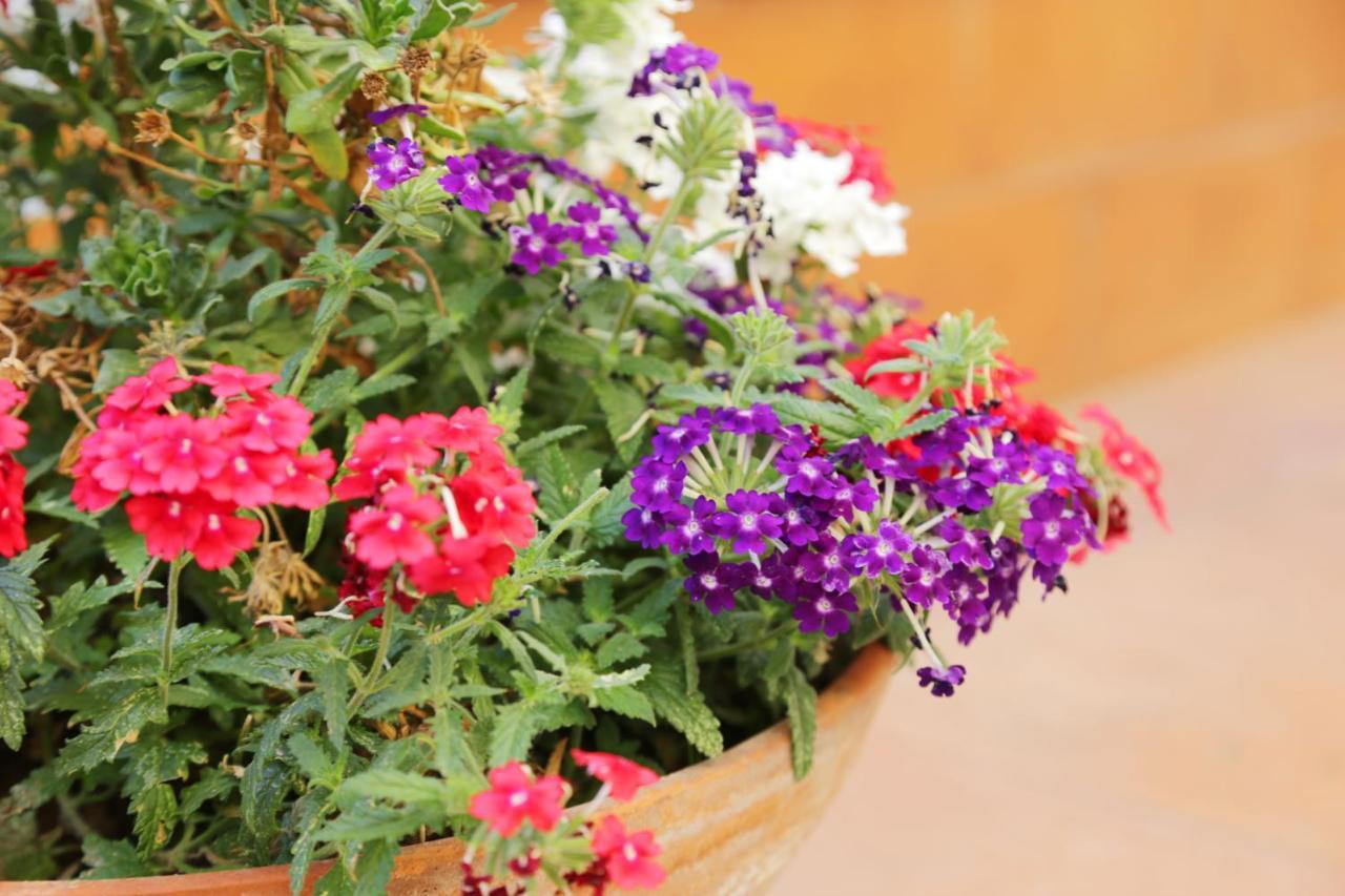 Casa Rosaria Amalfi Coast Bed & Breakfast Vietri Bagian luar foto